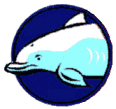 Small dolphin graphic